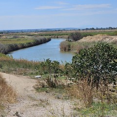 Natura, storia e impegno per l'ambiente: il Club Amici del Trekking Bari lungo l’Ofanto