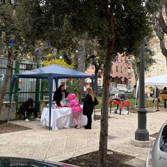 Il Paniere Natalizio del Sabato