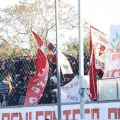 Fidelis Andria-Barletta