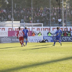 Fidelis Andria-Barletta