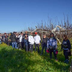 Il cammino dei Cavalieri