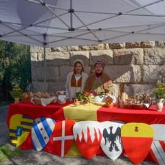 Il cammino dei Cavalieri