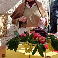 Il cammino dei Cavalieri