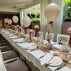 Party Lover Denise Salvemini