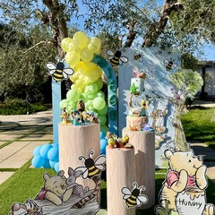 Party Lover Denise Salvemini