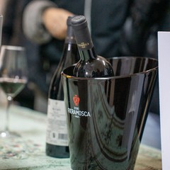 Bike tour Bikerently