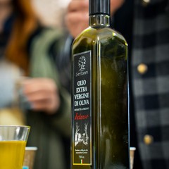 Bike tour Bikerently