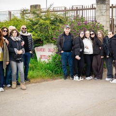 Bike tour Bikerently