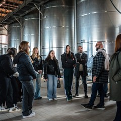 Bike tour Bikerently