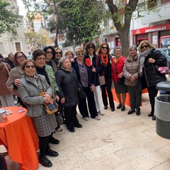 Abbellire e curare il giardino in via Papalettere: l'impegno quotidiano dell'Andos di Barletta