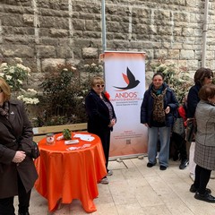 Abbellire e curare il giardino in via Papalettere: l'impegno quotidiano dell'Andos di Barletta