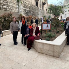 Abbellire e curare il giardino in via Papalettere: l'impegno quotidiano dell'Andos di Barletta