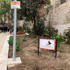Abbellire e curare il giardino in via Papalettere: l'impegno quotidiano dell'Andos di Barletta