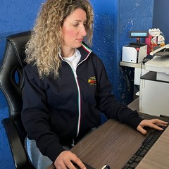 Filannino Line Revision