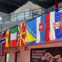 Trionfo di sport e spettacolo all'international Barletta Challenge: il Taekwon-Do ITF europeo incanta il Paladisfida