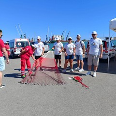 "Pesca senza barriere"