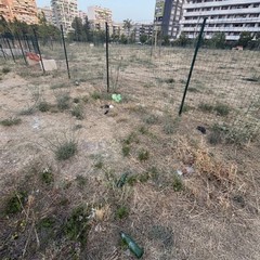 Area cani in zona 167, la segnalazione di un cittadino: «Grave stato di abbandono»