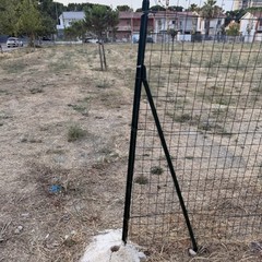 Area cani in zona 167, la segnalazione di un cittadino: «Grave stato di abbandono»