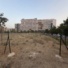 Area cani in zona 167, la segnalazione di un cittadino: «Grave stato di abbandono»