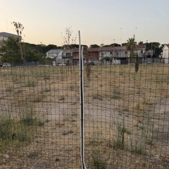 Area cani in zona 167, la segnalazione di un cittadino: «Grave stato di abbandono»