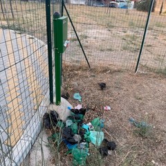 Area cani in zona 167, la segnalazione di un cittadino: «Grave stato di abbandono»