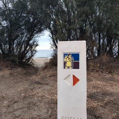 Abbattuto ancora il cippo della via Francigena Litoranea