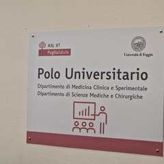 Nuove targhe del Polo Universitario