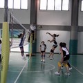 Axia Volley promossa