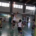 Axia Volley promossa