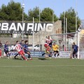 1 Div, Barletta - Pisa