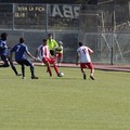 1 Div, Barletta - Pisa