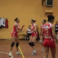 Volley, Cardo - Lynx Triggiano