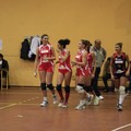 Volley, Cardo - Lynx Triggiano