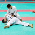 Campionato assoluto di karate