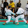 Campionato assoluto di karate