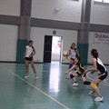 New Axia Volley Angelica Disalvo