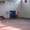 Gravina - New Axia Volley