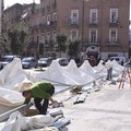 Primarie 2011, la preparazione