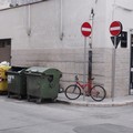 Cassonetti e rifiuti in via Dimiccoli