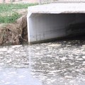 Scarichi nel mare di Barletta