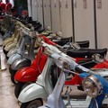 Vespa Moto Raduno galleria Curci