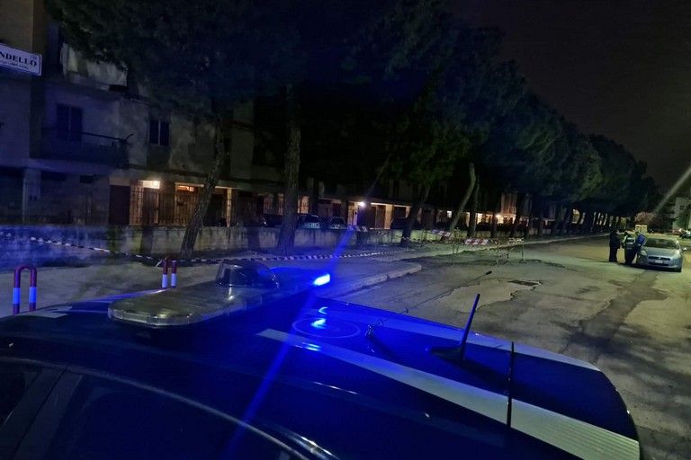 Albero pericolante via Pirandello Barletta