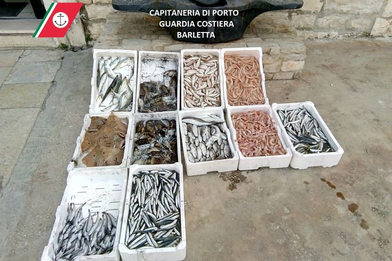 Prodotto ittico devoluto