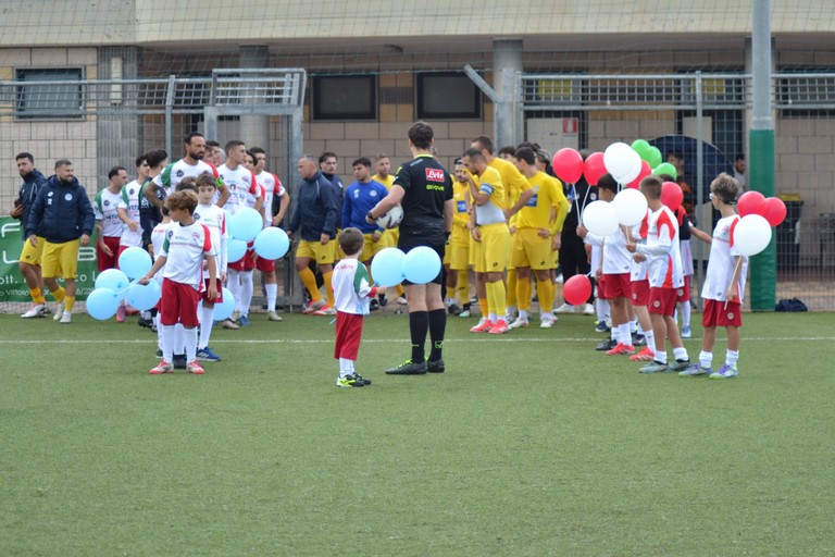 cc ae e d a b bffc f f