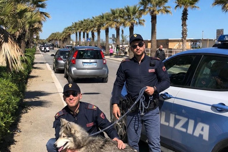 Cane salvato dalla Polizia