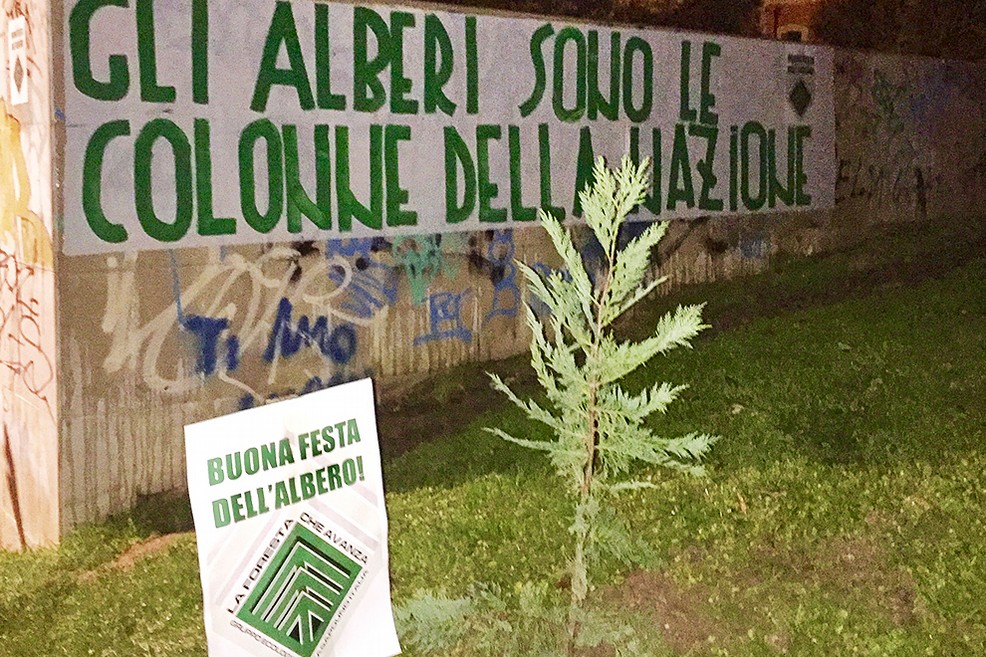 Alberi piantati da CasaPound