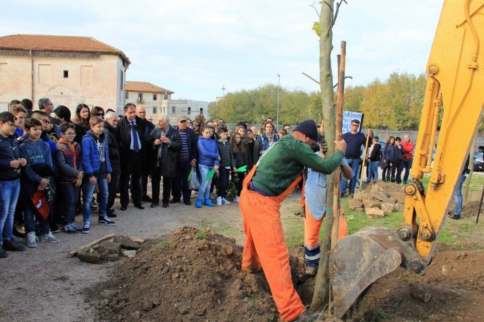 Festa dell'albero