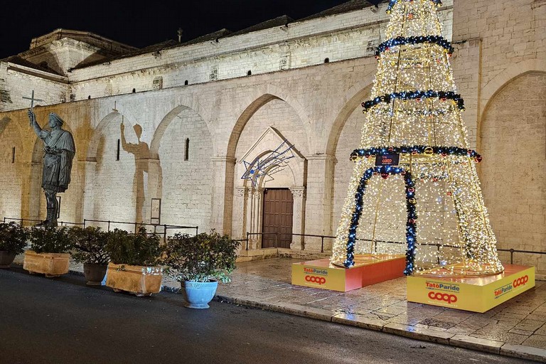 Albero Tat Paride Coop in Corso Vittorio Emanuele vicino al Colosso a Barletta