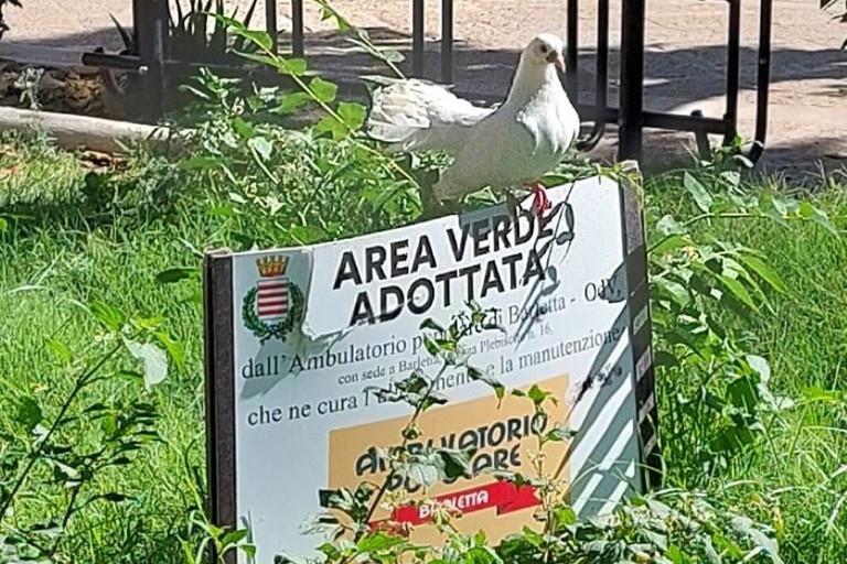 Area verde adottata Ambulatorio Popolare