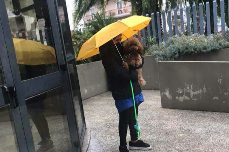 Fuori dagli uffici con il cane